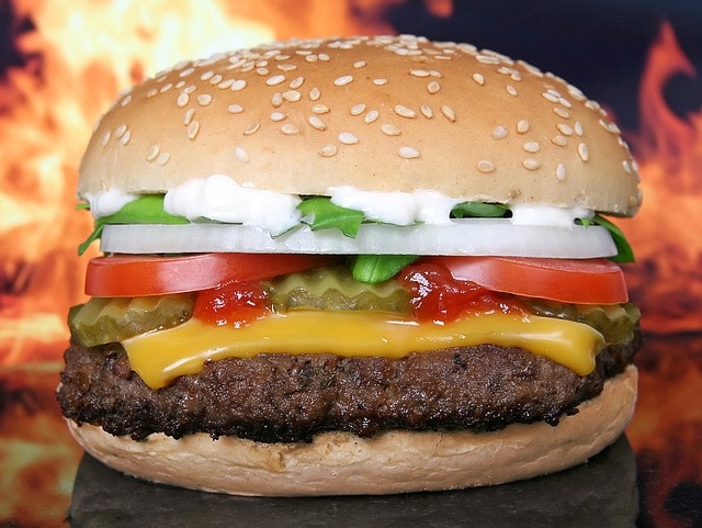 המבורגר מומלץ באזור גבעתיים (צילום: pixabay)